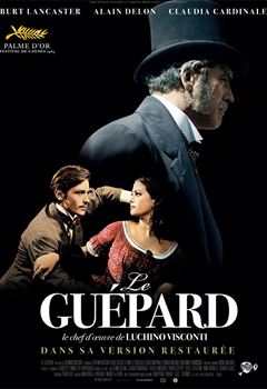 Le Guépard streaming