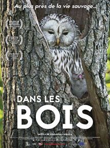 Dans les bois