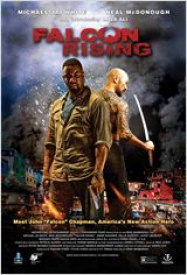 Falcon Rising