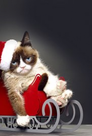 Joyeux Noël Grumpy Cat streaming