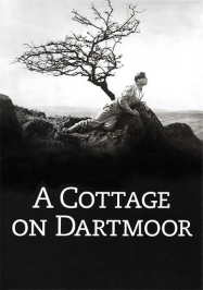 Un cottage dans le Dartmoor streaming