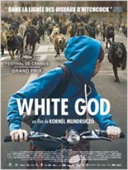 White God streaming