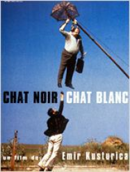 Chat noir, chat blanc