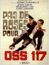 Pas de roses pour OSS 117 streaming