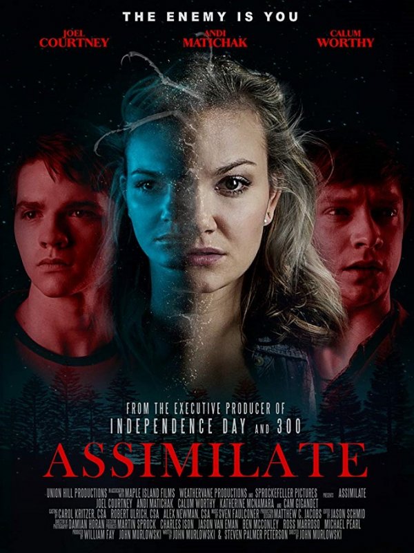 Assimilate streaming