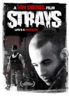 Strays streaming