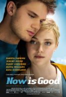 Now Is Good streaming