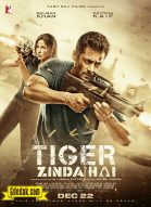 Tiger Zinda Hai streaming