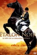 L’Etalon noir – Le défi de la dernière chance