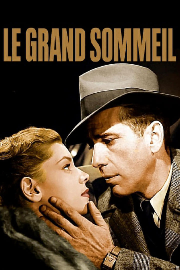 Le Grand Sommeil streaming