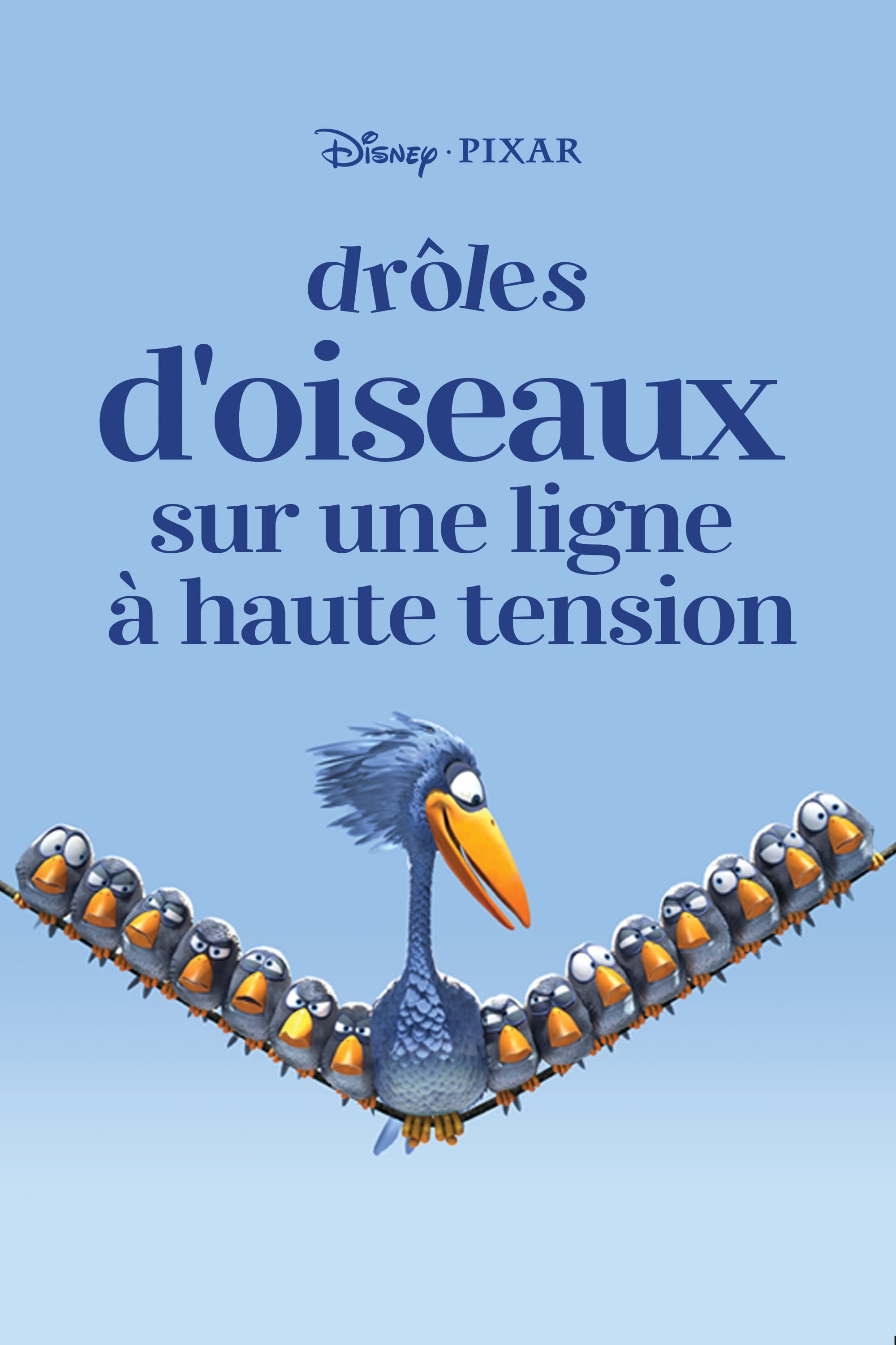 Drôles d\'oiseaux sur une ligne à haute tension