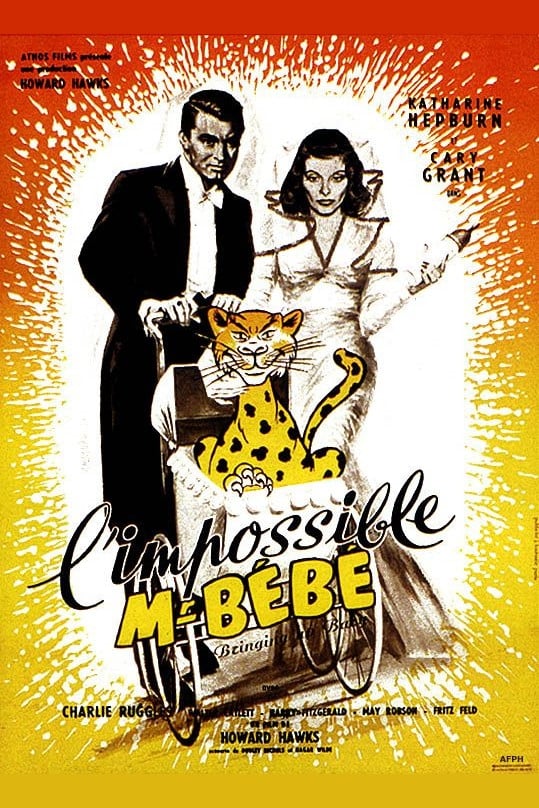 L\'Impossible Monsieur Bébé streaming