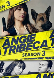 Angie Tribeca Saison 1 en streaming français